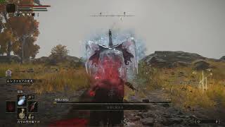 エルデンリング EldenRing 神肌の使徒 睡眠毒殺プレイ