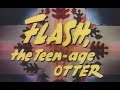Walt Disney S Flash The Teen Age Otter Season 7 Ep 25