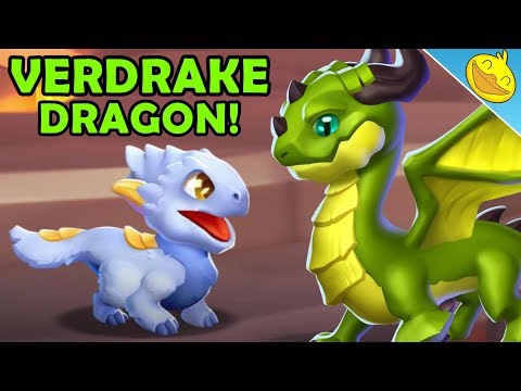 VERDRAKE DRAGON Unlocking! Hatching the SNOWPELT + BEGONIA Dragons! - DML #1134
