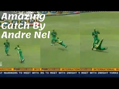 Amazing Catch By Andre Nel
