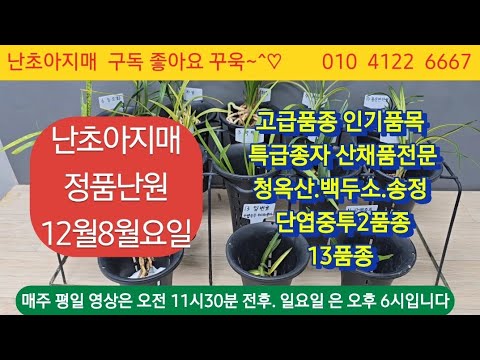 유튜브 썸네일