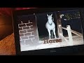 Safari Scrapbook Horse