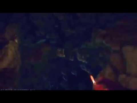 Первый трейлер игры The Forest