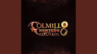 Lo Vi Vestir de Gucci