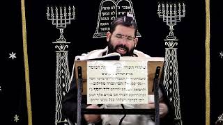 זבחים דף י' ע''א ¤ הרב נתנאל אברז'ל ¤ בית הכנסת "בית מרדכי" (מוסדות תורת דוד) - התמונה מוצגת ישירות מתוך אתר האינטרנט יוטיוב. זכויות היוצרים בתמונה שייכות ליוצרה. קישור קרדיט למקור התוכן נמצא בתוך דף הסרטון