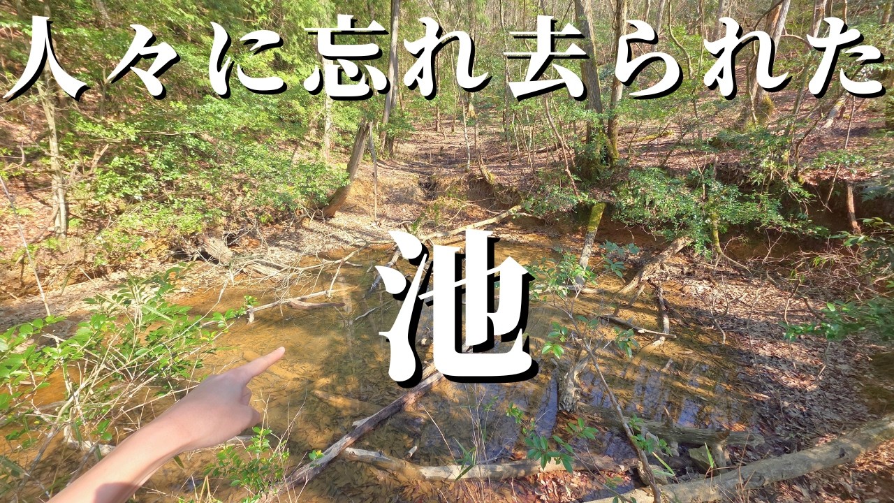 人々から忘れ去られた秘境のため池の生態系がヤバすぎた