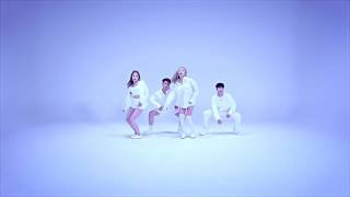 K.A.R.D - Don`t Recall  Dance Mirror