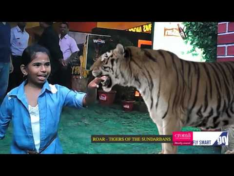 Sathvika Face To Face With The Tigers Of The Sundarbans