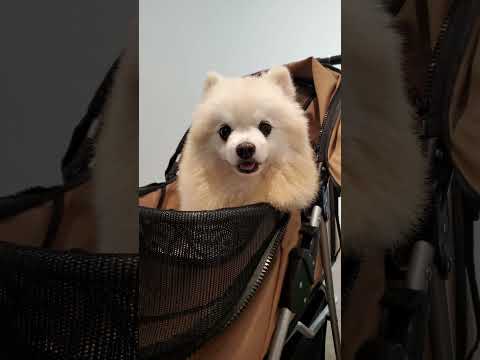 My Lovely Okie,I Canada Now.