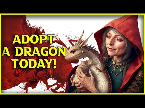 Evaluating: Dragon Age: Origins (+ All DLCs)