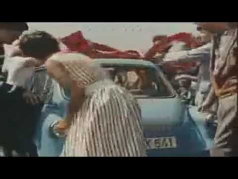 YTK- Ein Geschenk vom Pimmel | Beitrag zur 20 Sekunden Kollab Vol 3 - Edel Rind