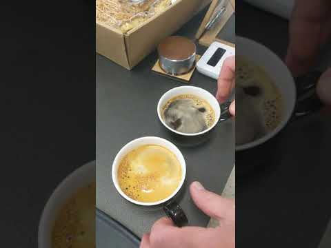 Lungo vs Americano