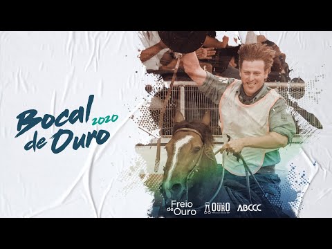 Bocal de Ouro 2020 - Morfologia Fêmeas