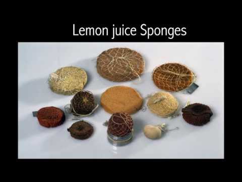 download lagu mp3 mp4 A natural This Pill, download mp3 A natural This Pill free download, download mp3 A natural This Pill