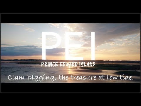 PEI: Clam Digging, The Treasure at Low Tide.
