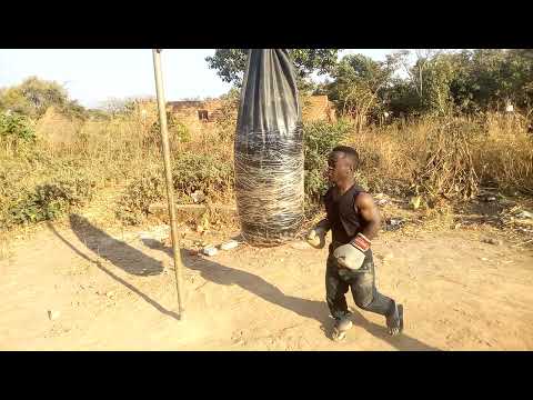 l-roi david 《le champion du congo 》