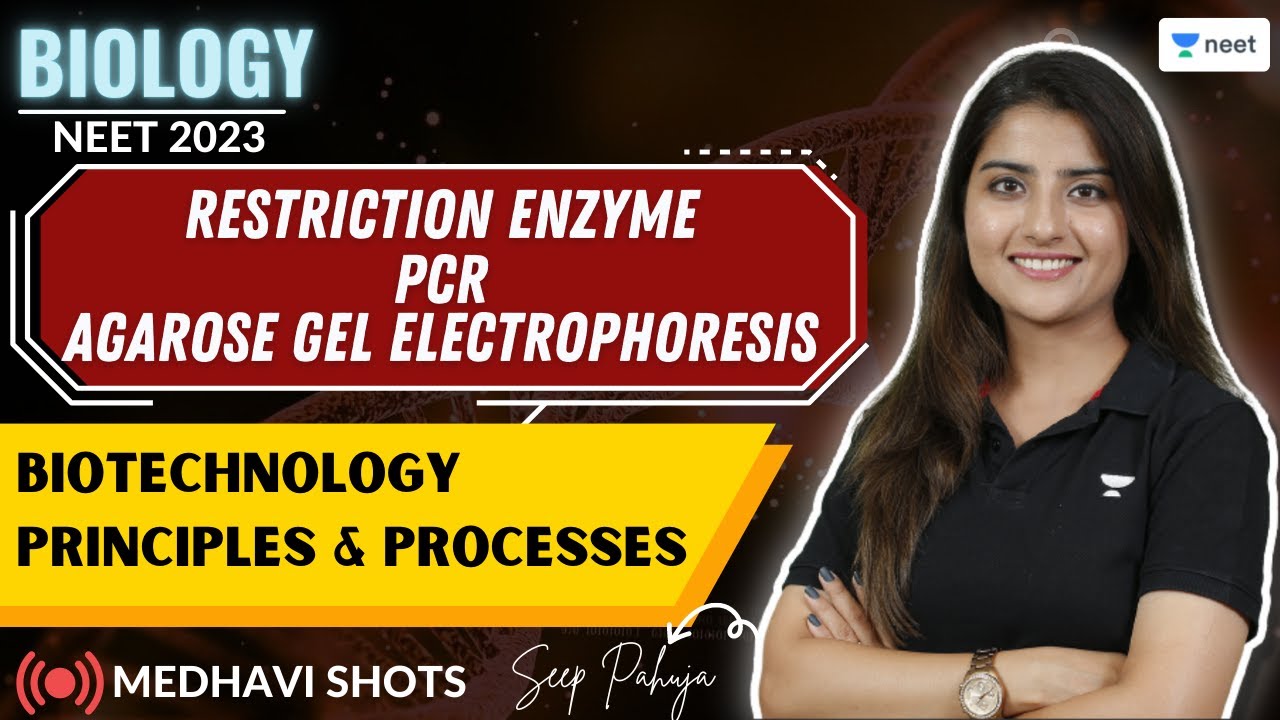 Restriction Enzyme | PCR  | Biotechnology- Principles & Processes | Medhavi Shots | Seep Pahuja