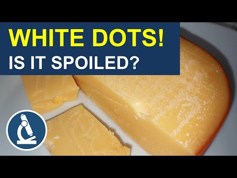 Cheese mystery: What are those white dots on the cheese? 🔬 257