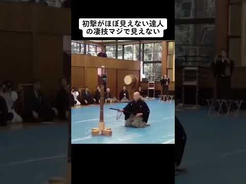 【達人】この剣術カッコよすぎる #Shorts #剣術 #TikTok