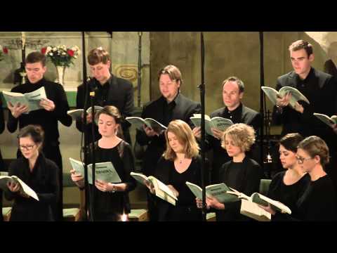 Brahms Requiem: II  Denn alles Fleisch es ist wie Gras ·Danderyds Vokalensemble