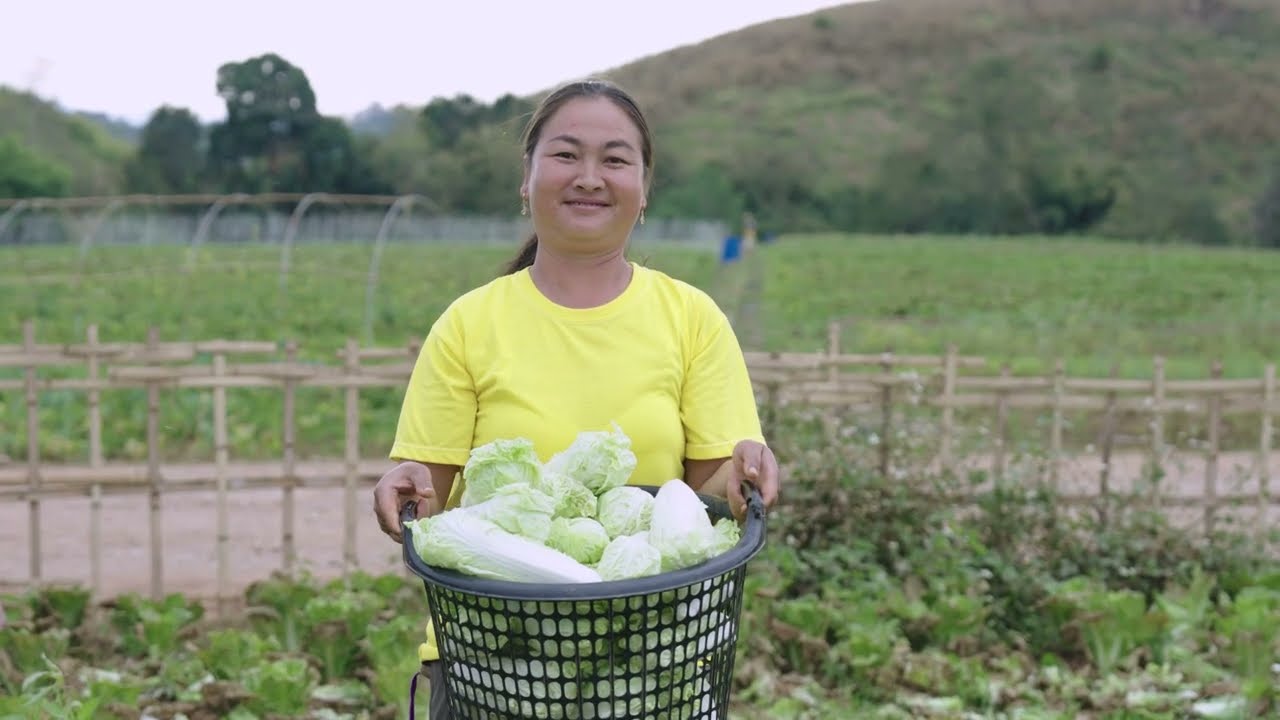 Year-Round Vegetables & Smart Shade Houses: Ms. Neephon’s Story