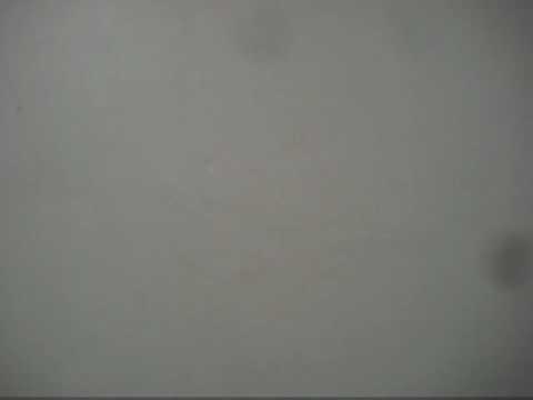 Deformed-Dismembered / Marcus Gamble - As Blood Runs Black Vocal Try out..