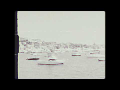 DJ Darko & TwinFin - In Love (Official Visualizier)