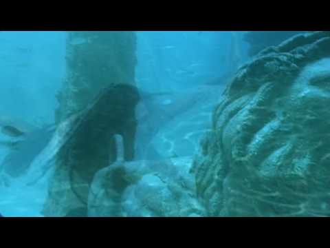 Aqualise - LOST IN THE SEA - featuring Jane Henley - video by aquamotion
