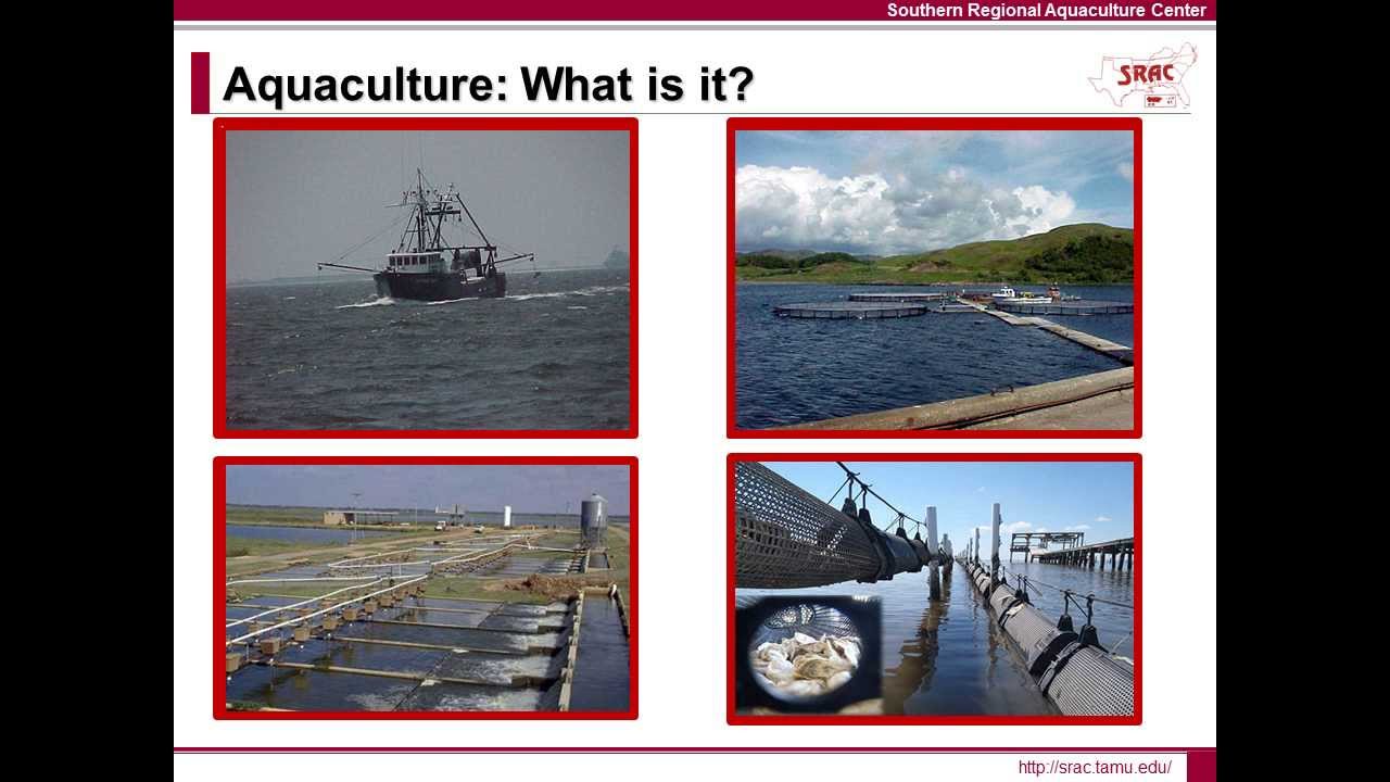 Introduction to Aquaculture