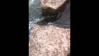 Dovedale Stepping Stones, Peak District, Derbyshire, April 2015.