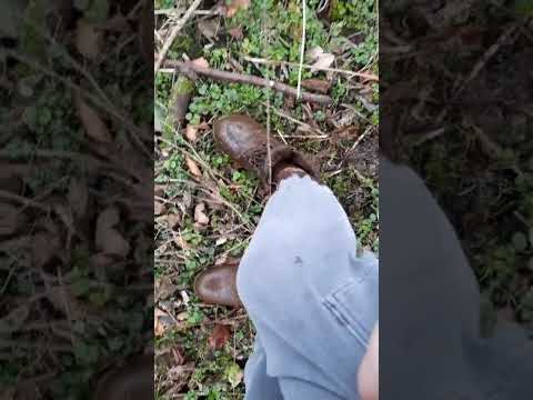 (Afsnit 2)  Niels og Malthe er dummere end mors køleskaf #dumbperson#funny #køleskab