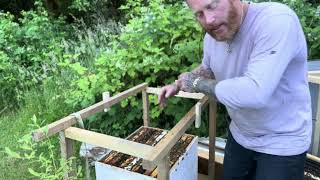 Bees from the beginning for beginners