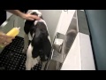Dirty Job 1: Team LoJ, JaLexis & Marley