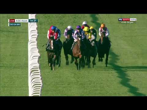 Magical - 2019 Champion Stakes