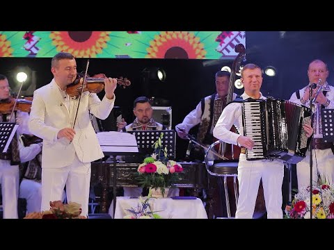 Fratii Advahov