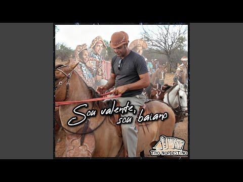 Sou Valente, Sou Baiano