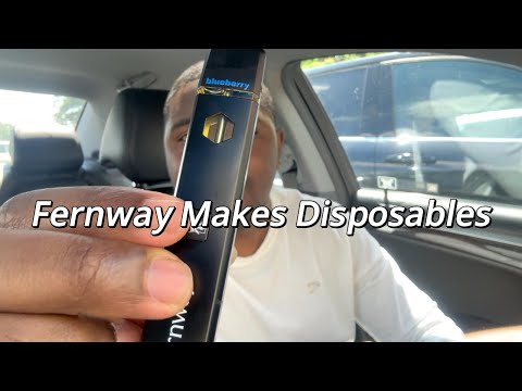 Trying Fernway's Disposable Pen, Is It Worth The Hype?