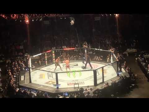 Jorge MASVIDAL KO’d By Kamaru USMAN (crowd reaction) UFC 261