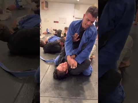 HARD ROUNDS: Blue belt vs Brown belt