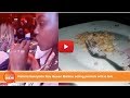 Shock Pretoria Sunnyside Slay Queen Malebo Eating Peanuts With A Fork