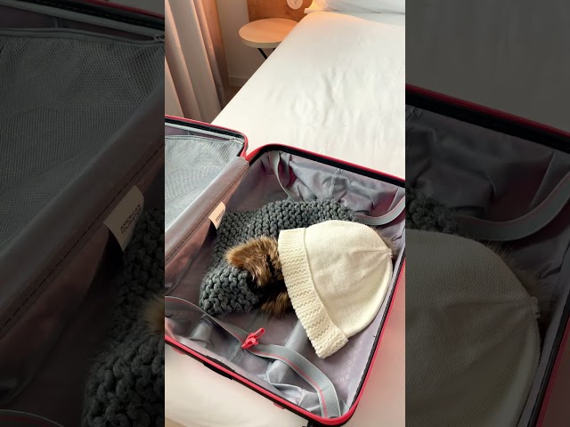 Vídeo relacionado con BONANGEL Calcetines Divertidos Hombre Antideslizantes, con Dibujos de Perro, Algodón, 39-46, Personalizados y Graciosos, Regalos Originales para Novio Padre, para Cumpleaños, Navidad