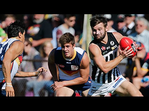Magpies v Crows highlights - Round 7, 2015