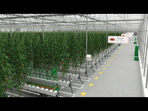 HEKTAŞ Tarımsal İnovasyon Eğitim ve Deneyim Merkezi