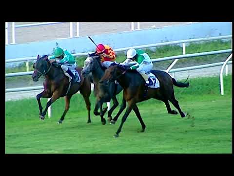 Napoli Galoppo 28/07/2021 - 5ª corsa