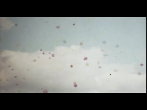 El Petit de Cal Eril - Non Tornerai [Clip Oficial]