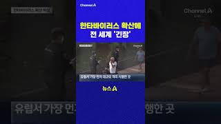 한타바이러스 확산에 전 세계 긴장 채널A #shorts #DLAB #ashorts