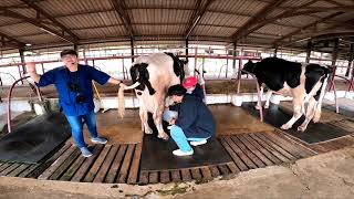 SaptaiCamp STEM+ MilkLand Map