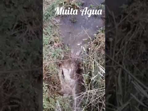 Fazenda à Venda em Pedra Azul MG