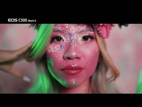 Video preview