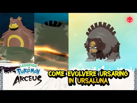 [GUIDA] Come evolvere Ursaring in Ursaluna ALPHA! - Leggende Pokémon: Arceus